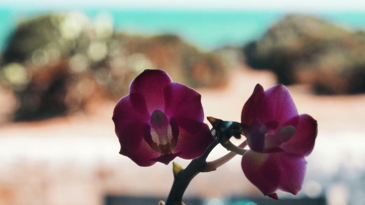 Rosa Marina Villa Scicli Eksteriør bilde